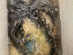 -金三可市井水煮鱼(金碧园店)