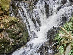 -莫里热带雨林景区