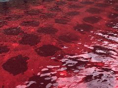-清水湾足道馆