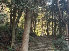 -楠溪江石桅岩