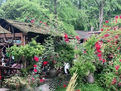 -青城甲(青城山店)