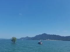 -庐山西海主景区