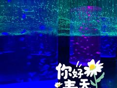 -波塞冬海底世界