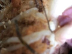 -BreadTalk面包新语·烘焙蛋糕(领展购物广场店)