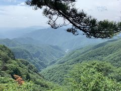 -牛背梁国家森林公园