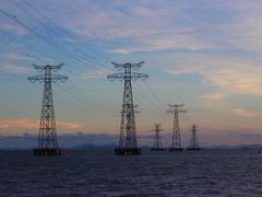 -宝安西湾红树林湿地公园