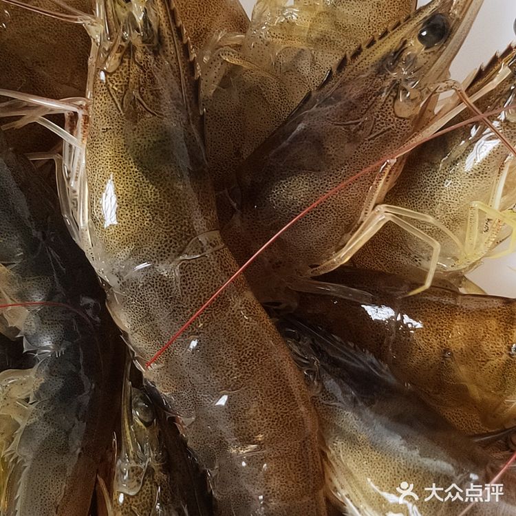 【随心㊙️食谱☞手工打造🦐虾滑】 ​