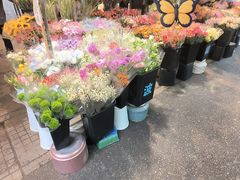 -循礼门鲜花花市(武汉循礼门店)