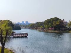 -新江湾城公园