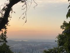 -紫金山山顶公园