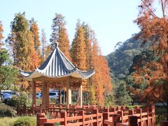 -广州市石门国家森林公园