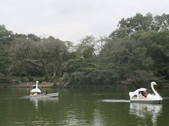-井之头恩赐公园