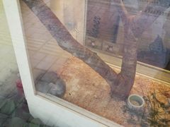 -龙猫仔乐园(惠福东路店)