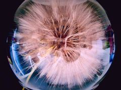 -龙口南山旅游景区