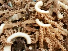 -爆肚于(赵公口桥店)