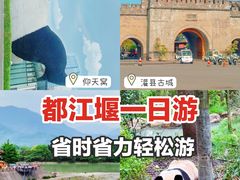 -熊猫谷
