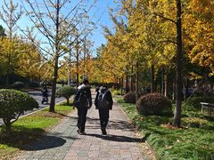 -浙江农林大学(东湖校区)