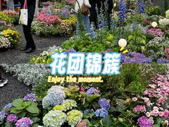 -观音桥步行街