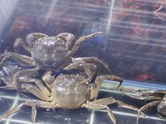 -聚盛源蒸汽海鲜火锅烤肉自助(巨川金海岸购物广场店)