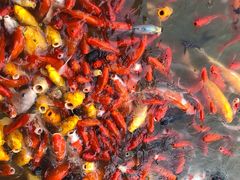 -泰安地下龙宫景区