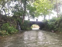 -天目湖松岭竹海漂流