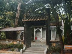 -深圳国际园林花卉博览园