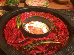 -蜀大侠火锅(建设路第五大道店)