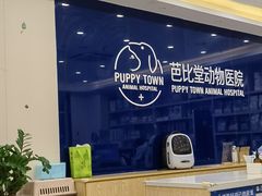 -芭比堂动物医院·24小时·眼科中心(深圳中心)