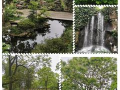 -南山植物园