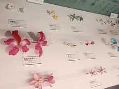 -四川大学博物馆