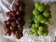 -马陆小张葡萄园农家乐