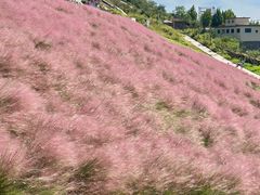-沂蒙云瀑洞天景区