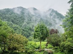 -中国茶叶博物馆(双峰馆区)