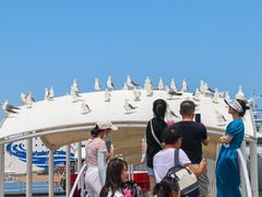 -海驴岛(荣成市)