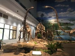 -自贡恐龙博物馆