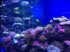 -成都浩海立方海洋公园