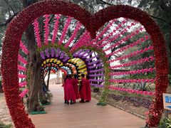 -北海金海湾红树林生态旅游区