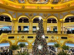 -澳门威尼斯人综合度假区