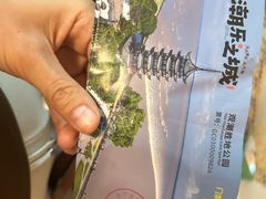 -观潮胜地公园
