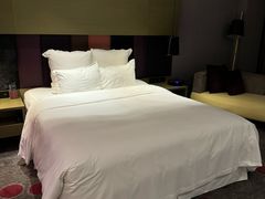 -南京禄口机场雅高铂尔曼大酒店