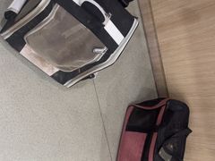 -宠颐生动物医院·猫科·心脏科(海口分院)