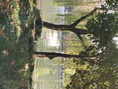 -西湖天地