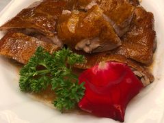 -椿记烧鹅(叠彩店)