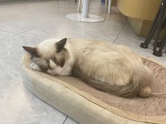 -益杯半舍·Yippee Barseh(宇宏健康花城店)