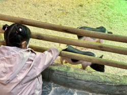 -Zoolung Zoolung动物主题公园(海信广场店)