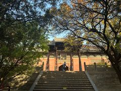 -善化寺