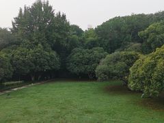 -上海市保健医疗中心