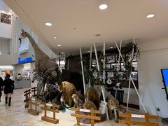 -阪急百货店(梅田总店)