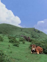 -美肤盾祛痘·问题肌头疗管理中心