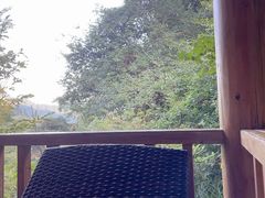-黄山温泉国际旅游度假区